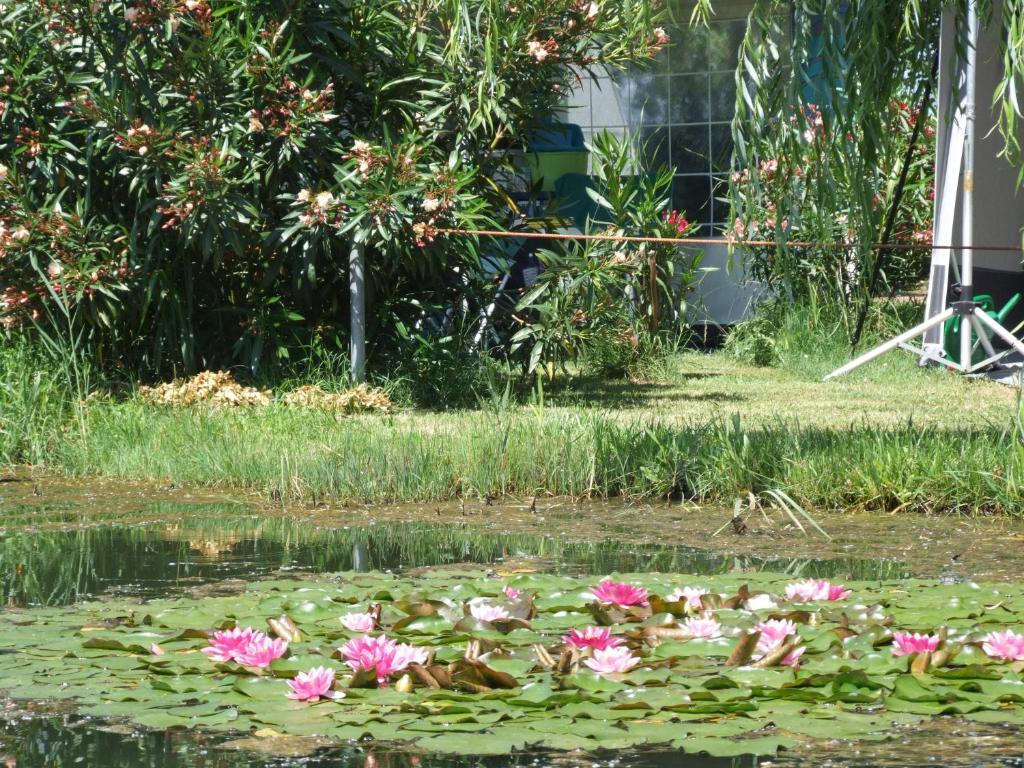 Camping Villaggio Italgest Sant'Arcangelo  Exterior photo
